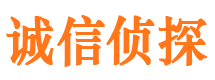 龙亭市侦探公司